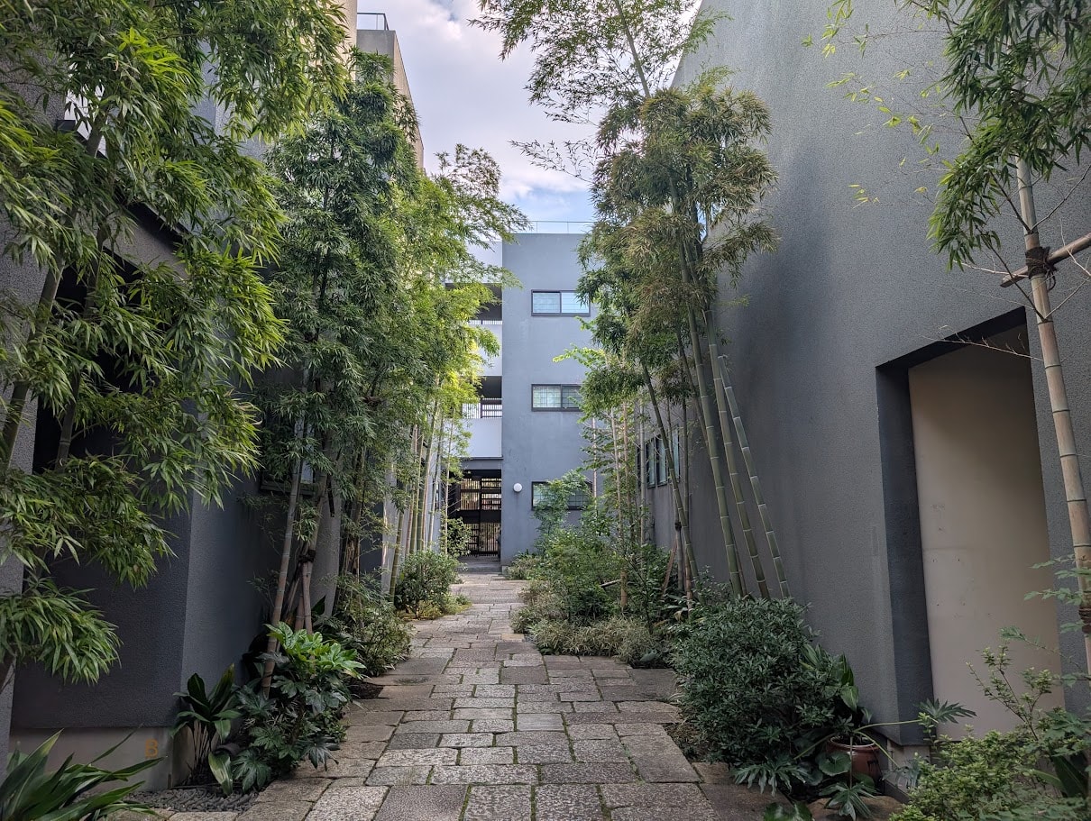 Bamboo-lined stone path through the garden