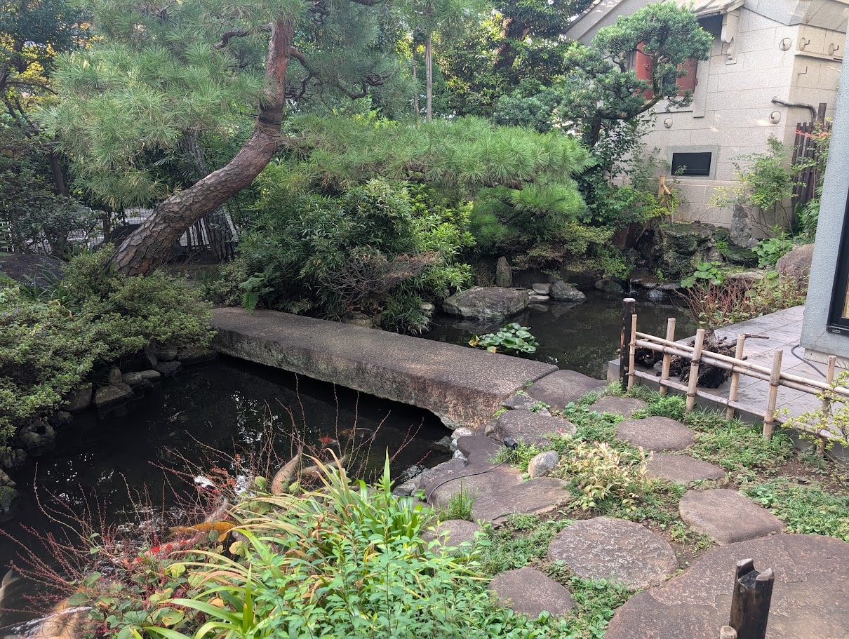 Stone bridge over the koi pond with pine trees