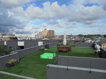 Rooftop terrace view at Bamboo House
