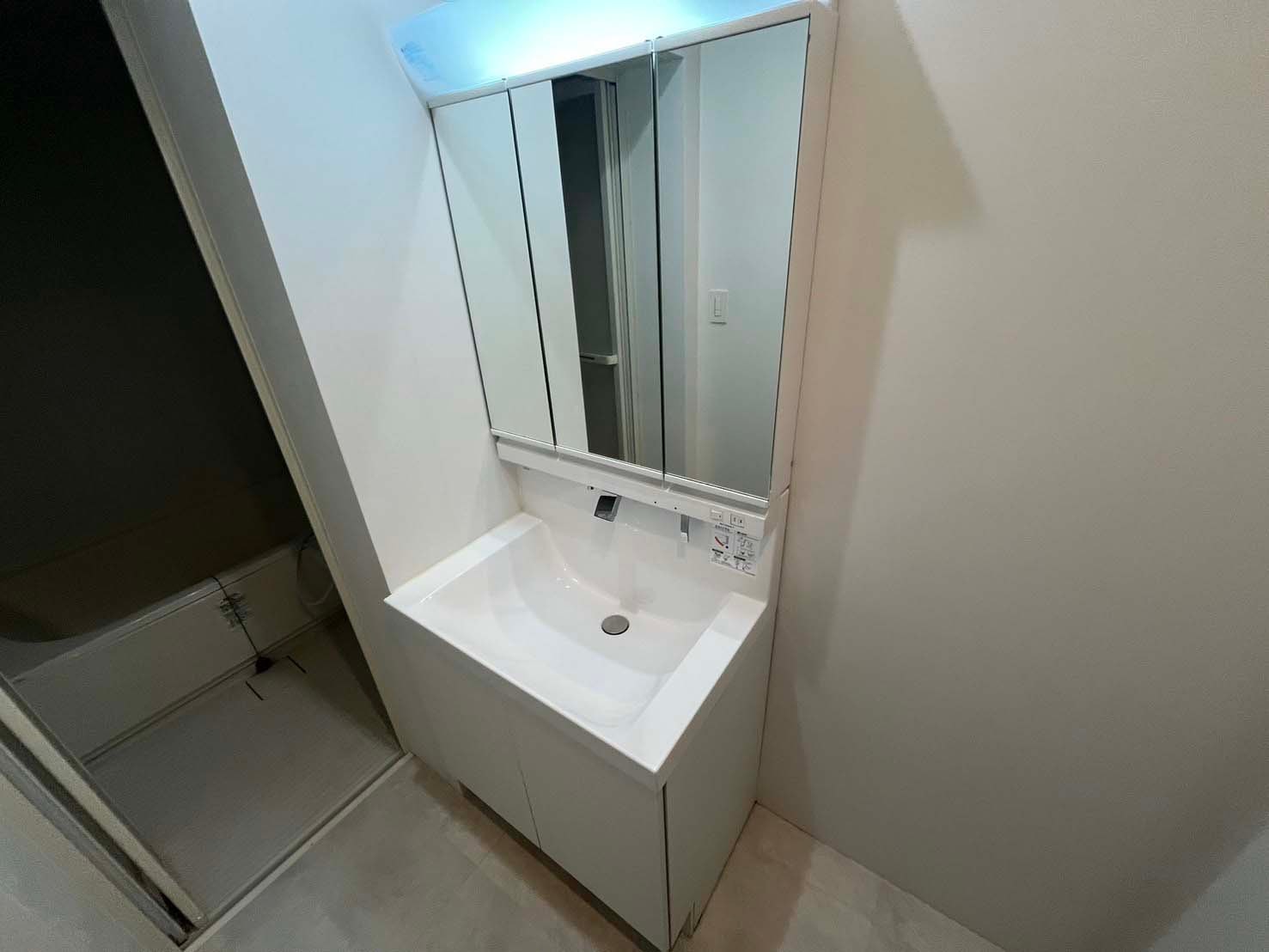 Bamboo House bathroom vanity with mirror cabinet